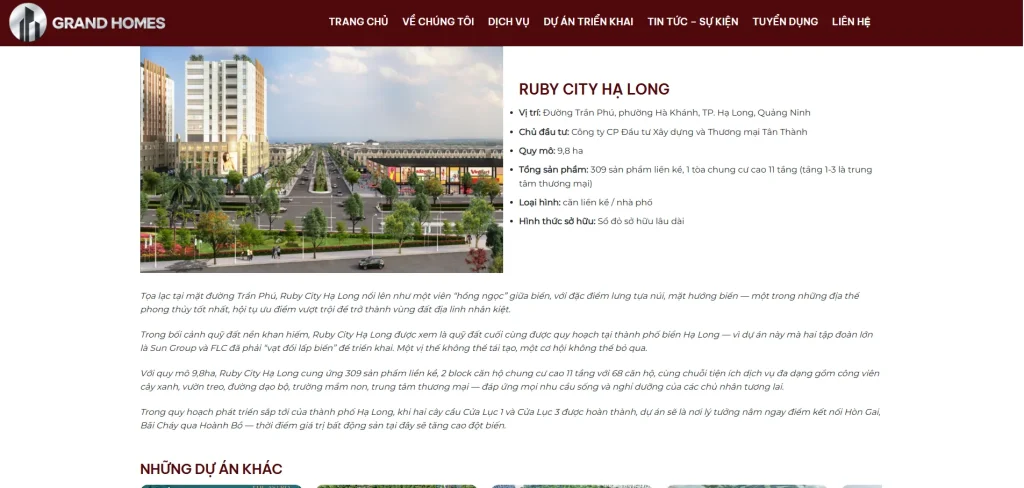 Danh sách dự án được trình bày rõ ràng, giúp khách hàng dễ dàng nắm bắt thông tin